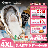 贝司令（BEISILING）【鲜活】乳山生态生蚝牡蛎贝类烧烤源头直发4XL净重4斤 8-11只装
