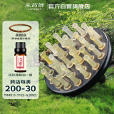 采药师牛角梳按摩头皮黑檀木头部经络梳子腹部刮痧经络刷女生节日礼物