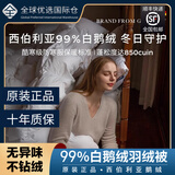 德国进出口99鹅绒被羽绒被芯可水洗加厚保暖A类抗菌西伯利亚鹅绒 贵族白【99金标鹅绒/顺丰速达】 200cm*230cm【3斤】春夏款