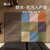 慢说入户地垫门口脚垫轻奢高级防滑防水爬爬垫家用室内地毯垫 60*90cm