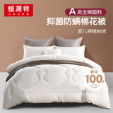 恒源祥棉花被 A类抗菌100%新疆棉被芯纯棉双人加厚冬被10斤 200*230cm