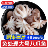 一虾一世界鲜活冷冻小八爪鱼 三去迷你章鱼仔去齿去内脏 火锅烧烤年夜饭食材 无冰大号 3斤(净重)  【免处理】