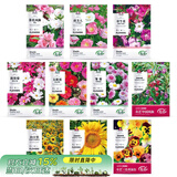 寿禾 花种子苗太阳花格桑花向日葵凤仙花四季花海组合 10种花种子套餐