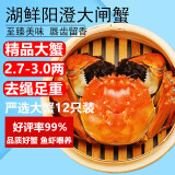 【活蟹】湖鲜阳澄 大闸蟹 去绳足重 2.7-3.0两 12只 鲜活六月黄现货超大螃蟹海鲜礼盒装