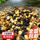 茨格曼鱼缸底砂 鱼缸造景石 雨花石 鹅卵石 夜光石溪流石 五彩石白石子 鱼缸造景-天然溪流石2.5kg