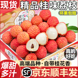 粤迎广东茂名高州桂味荔枝【JD顺丰冷链】现摘现发香甜生鲜水果新鲜 3斤贡品级精选果【脆甜多汁】净2.5斤