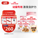 皇家皇家猫粮 幼猫猫粮 干湿搭配 K36 4.5kg+啫喱肉冻KJP 85G*3