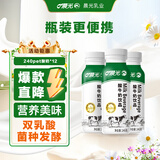 晨光酸牛奶饮品240g*12瓶 低温酸奶原味 乳酸菌发酵风味酸奶
