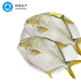 环球水产 冷冻南海二去金鲳鱼900g2条 去鳃去脏 深海鱼生鲜鱼类  家庭聚餐
