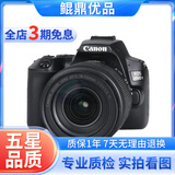 佳能/Canon EOS 100D 200D 200d二代 二手单反相机 200D二代黑色+18-135  套机 95新