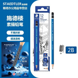 施德楼（STAEDTLER） 德国原产素描铅笔 100经典蓝杆进口铅笔 专业美术生绘图设计动漫画笔 2B 12支整盒