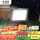 公牛（BULL）LED投光灯庭院灯工地灯园林照明露营灯 IP65防水100W-6500K白光