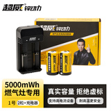 超威可充电燃气灶套装天然气煤气灶热水器用手电筒专用D型锌动力电池碱性 一号电池5000mWh*2节+二槽充电器