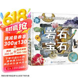 DK儿童图解百科全书岩石与宝石
