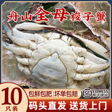 梭子蟹鲜活特大野生舟山大螃蟹海鲜新鲜冷冻海蟹水产飞蟹白蟹顺丰 3-4两/只【全母梭子蟹10只装】