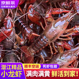 百味殿湖北潜江自产自销清水稻田鲜活小龙虾5斤装大虾超大（干净免刷） 【满黄满肉】789大号五斤-(16-20只）/斤