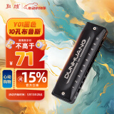 敦煌 煌之谣 10孔布鲁斯口琴  Y01黑色 Paddy C调 初学推荐 