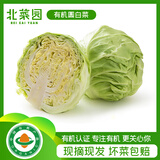 北菜园有机圆白菜400g 卷心菜包菜新鲜蔬菜【进店多样加购】北京延庆