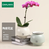 奥美优陶瓷花盆室内轻奢简约家用大号多肉绿植吊兰蝴蝶兰花客厅阳台桌面