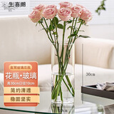 生喜朗玻璃花瓶透明插花瓶干花仿真花假花富贵竹水培容器客厅装饰摆件