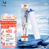道尔顿（Doulton）【英国原装进口】净水器滤芯 KDF DIP301专用适配滤芯BioTect Ultra 9004型