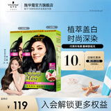 施华蔻（Schwarzkopf）怡然染发剂染发霜  植物草本温和盖白染发膏男女轻松染 【复古黑发】2.0闪亮珍珠黑*2