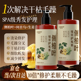 KOOGIS侧柏叶护发素柔顺干枯毛躁修复顺滑发膜草本何首乌生姜可搭洗发水