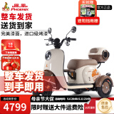 凤凰甲壳虫电动三轮车家用小型老年代步电动车老人休闲电瓶车 1000W+60V30A锂电+约65公里