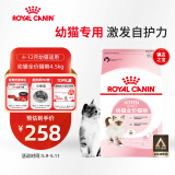 皇家幼猫猫粮 幼猫奶糕 K36 通用粮 4-12月 4.5KG