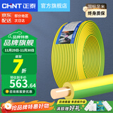 正泰（CHNT） 电线电缆BV1.5/2.5/4/6平方国标家装空调单股铜芯电线铜线电源线 6平方 (黄绿双色-地线/100米)
