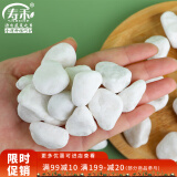 寿禾 白石子鹅卵石鱼缸适宜多肉盆栽造景铺路辅材 1-2cm白卵石约500g