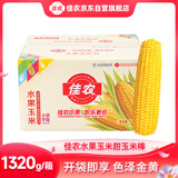 佳农 东北水果玉米棒1320g 真空包装 开袋即食 可烘培 源头直发