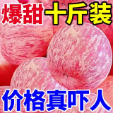【爆甜】正宗红富士苹果当季新鲜冰糖心脆甜红苹果水果批发一整箱 买5斤送5斤到手净重8斤装 精选大果【果径70-75mm】