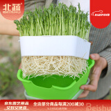 北蔬 芽苗菜种植盒发芽育苗盆水培带盖保温 五角芽苗菜育苗盘3个装
