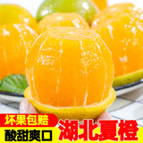 柏果相依秭归湖北夏橙 当季手剥酸甜橙子新鲜水果高山血多汁冰糖脐  可选 3斤 60mm以下（实惠）