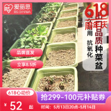 爱丽思（IRIS）种菜盆蔬菜种植箱塑料花盆特大号阳台种菜神器户外花箱种花菜盆 【1个】大(60cm长)茶色 送隔网