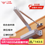 飞球（Fly.Globe）闭门器液压缓冲防火门定位自动关门器 承重45-65kg 
