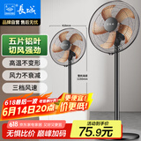 长城（CHANGCHENG）电风扇落地扇机械电扇家用办公台地两用扇三档铝叶大风量风扇/摇头风扇交流定频风扇 FS-35II（2）