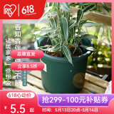 爱丽思（IRIS）Deepot花盆加厚树脂控根圆口绿萝绣球蔷薇月季塑料花盆  5号深绿色(口径约17cm)无盆托