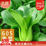 北蔬 小青菜种子苗上海青梗菜油菜种籽 速生605上海青种子50g约2万粒