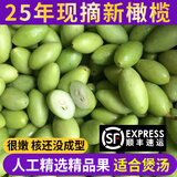 良知农哥 【顺丰】25年新鲜现摘潮汕青橄榄 生青果 煲汤泡茶炖猪肚 嫩橄榄250g 顺丰陆运