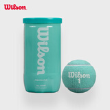 Wilson威尔胜2025全新配色罐装网球2只装 知更蓝色