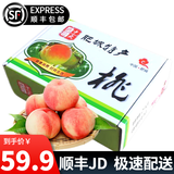 趣觅鲜肥城水蜜桃正宗山东泰安刘台肥桃大寿桃佛桃应季新鲜水果 6个单果6-8两包装随机