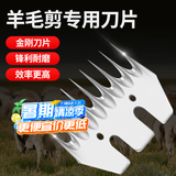 闲鸟剃羊毛推子剪子剪羊毛的电动推子电动剪毛机推羊毛专用山羊绵羊 羊毛剪刀刀片 2025旗舰款-防静电不卡毛