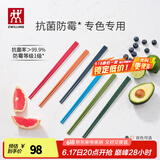 双立人（ZWILLING）筷子套装长筷子防滑抗菌耐高温坚韧耐磨家用分餐餐具 【抗菌】多巴胺色筷子-251mm 6双
