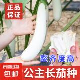 大叶荠菜种子樱桃萝卜地爬黄瓜长茄乌塌菜菠菜种籽农家蔬菜孑菜籽 白雪长茄种子50粒