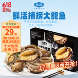 金唐鲜冻鲍鱼净重300g 10粒盒装带壳鲍鱼肉 贝类海鲜生鲜火锅烧食材