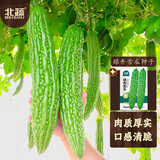 北蔬绿苦瓜种子苗肉厚凉瓜耐热易种活四季蔬菜种籽 绿秀苦瓜种子10粒