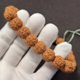 山中玉金刚菩提手串尼泊尔菩提子原籽龙鳞纹盘文玩大五瓣精品520送礼物 树神金刚菩提13mm