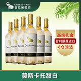 智象智利原瓶进口红酒整箱礼盒 珍藏莫斯卡托甜白葡萄酒750ml*6 